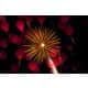 Abstract Firework Photography Image 2