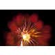 Abstract Firework Photography Image 3