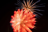 Abstract Firework Photography Image 6