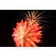 Abstract Firework Photography Image 6