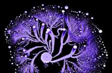 Psychedelic Bacteria Photography