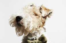 Luxurious Doggy Bow Ties