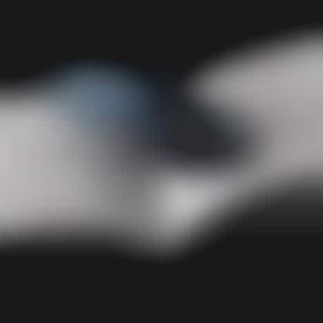 Avian-Inspired Bookmarks