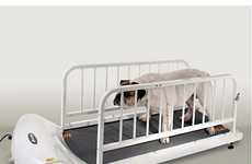 Canine Exercise Machines