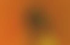 Botanically Accessorized Portraits