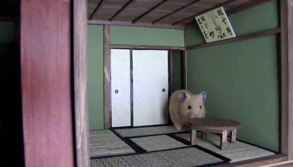 Whimsical Hamster Mansions