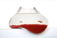 Bizarrely Bent Fish Tanks Image 2
