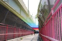 Multi-Colored Stringed Bridges Image 5
