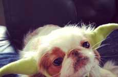 Alien Pooch Accessories