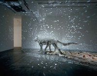Reflective Animal Art Image 3