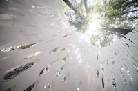 Biodegradable Forest Shelters Image 3