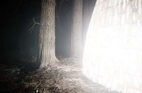Biodegradable Forest Shelters Image 4