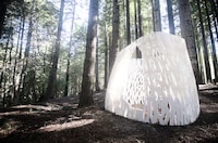 Biodegradable Forest Shelters Image 7