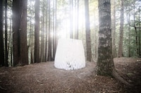 Biodegradable Forest Shelters Image 8