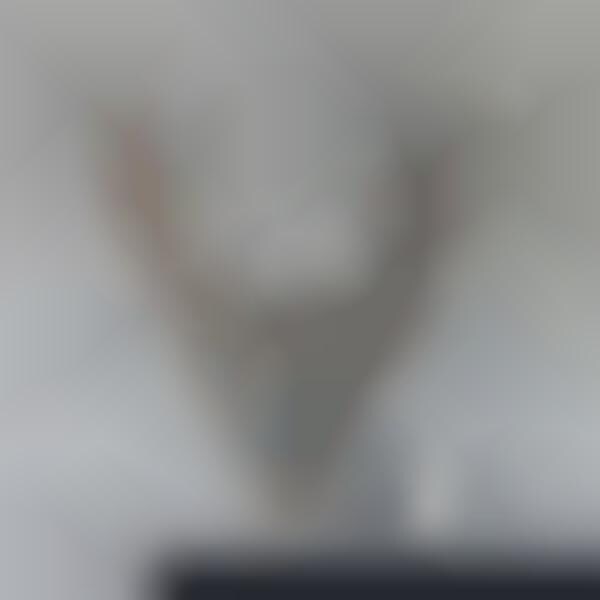 Abstracted Animal Shelving