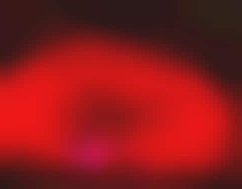 Glowing Sports Equipment