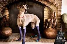 Sock-Covered Canine Ads
