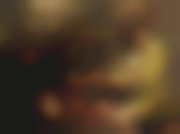 Raw Cultural Close-Ups