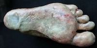 Horrifying Human Remain Chocolates Image 4