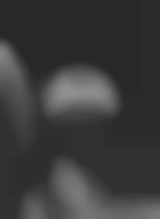 Monochromatic Hyper-Realistic Artwork