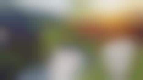 Solar Energy-Powered Buckets