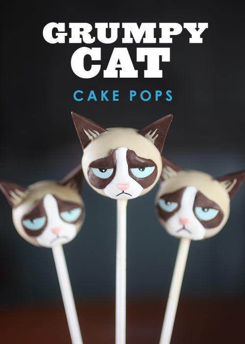 Cat Meme Cake Pops