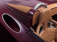 Predatory Aviation-Inspired Autos Image 5