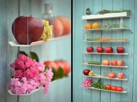 Fruit-Lined Shelving Image 4