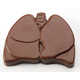 Body Organ Chocolates Image 7