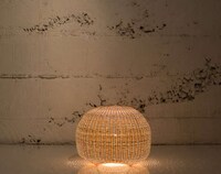 Alienesque Wicker Lighting Image 6