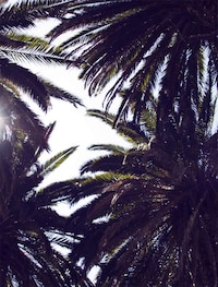 Summer Farewell Photography Image 6