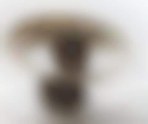 Dog Cone Serving Plates