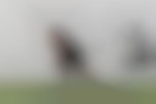 Athlete-Training Parachutes