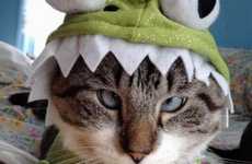 20 Cat Halloween Costumes