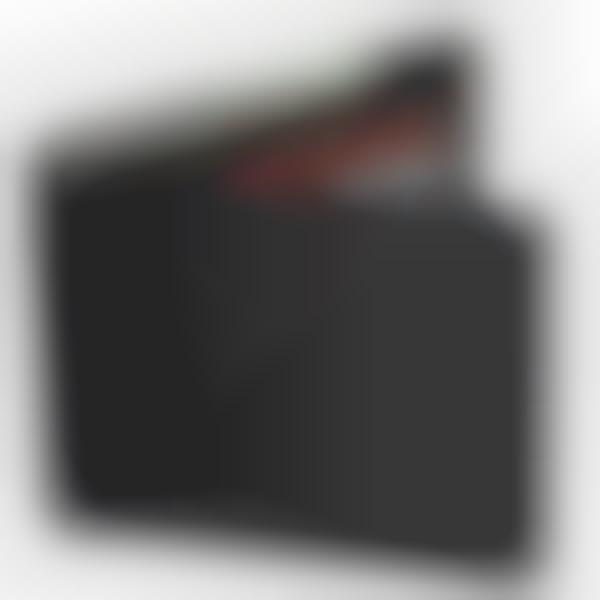 Anti-Identity Theft Wallets