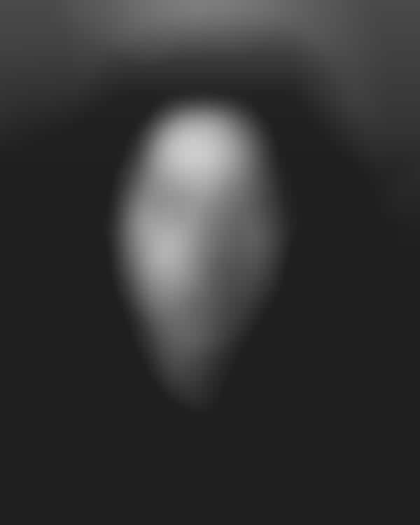 Deceased Reconstruction Photographs