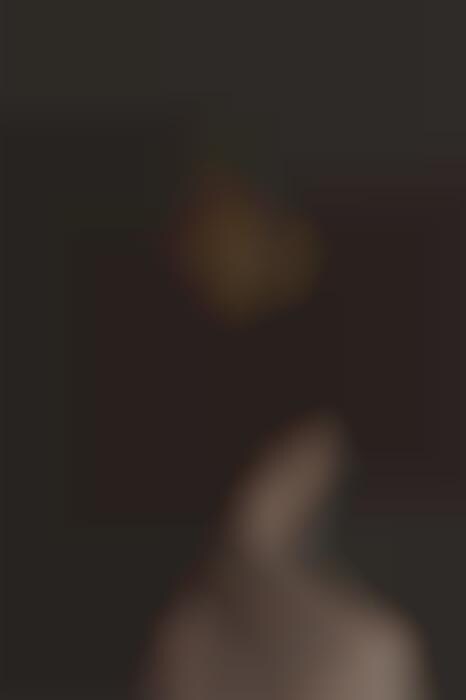 Abstract Aristocrat Editorials