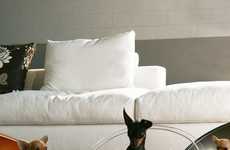 Bubble Dog Baskets