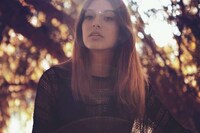 Shadowed Forest Canopy Editorials Image 3