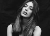 Shadowed Forest Canopy Editorials Image 5