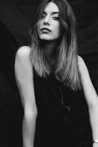 Shadowed Forest Canopy Editorials Image 6