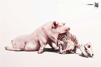 Anthropomorphized Animal Ads Image 4