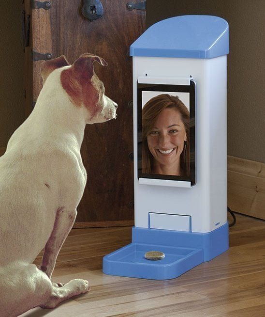 Digitally-Tossed Pet Treats