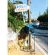 Obscure Greek Shrine Photos Image 5