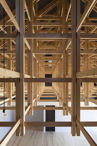 Complex Wooden Sports Facilities Image 2