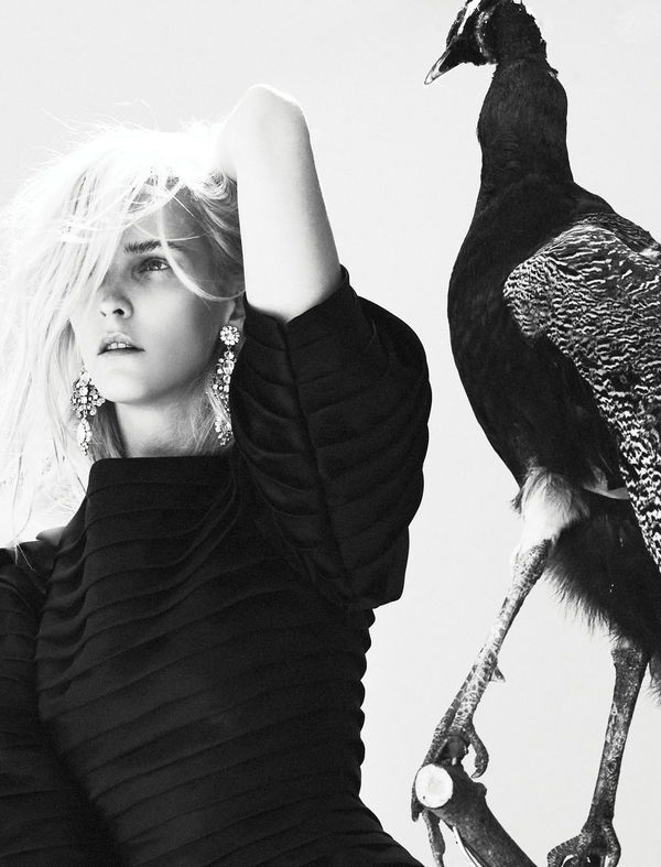 28 Avian-Inspired Fashion Spreads