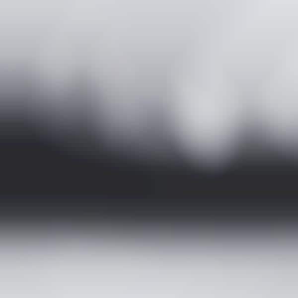 Blurry Forest Photography