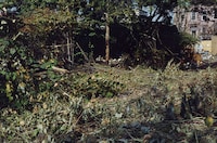 Abandoned Outdoor Photography Image 4