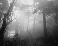 Abandoned Outdoor Photography Image 7