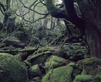 Abandoned Outdoor Photography Image 8